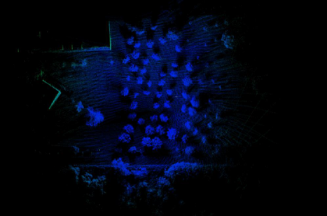 Point cloud data of the study area, Top view