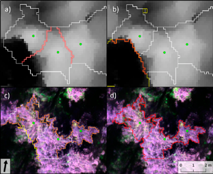An example of tree crown detection (tree peaks visualized by green dots): (a) watersheds surrounding treetops (white line) split nearby trees—the borders are highlighted in red; DSM on the background; (b) the height mask (yellow line) cuts one side of the tree crowns in a place with a high altitude difference (red highlight); (c) the shadow mask (orange line) reduces the dark parts of tree crowns and completes the tree crown borders; multispectral imagery from the Parrot Sequoia sensor on the background (false-colour composition: Green, Red, Red edge); and, (d) final result of tree crown detection.
