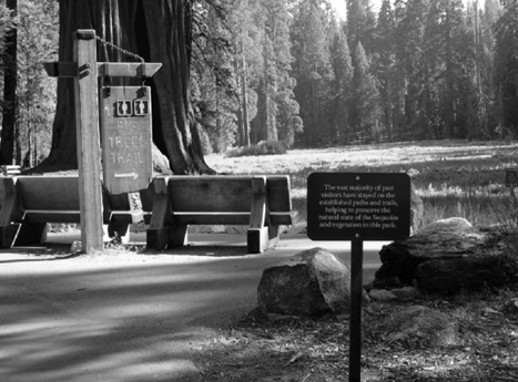 Descriptive-Prescriptive Sign at Big Trees Trail