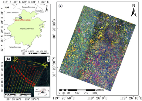 (a) The location of Mountain Tianmu, Zhejiang province; (b) the flight routes of UAV RGB image data acquisition; the small yellow planes represent take-off and landing points; (c) the UAV RGB orthoimage of the study area after pre-processing.