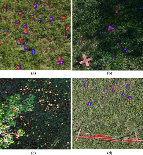 Cutouts of the drone images from the test dataset of the random dataset split overlaid with the predicted segmentation masks of the detection model and the ground truth bounding boxes. On the grassland, most predictions are correct, even in mixed lighting. However, objects like a marker cross (b), tree branches (c) or fences (d) can lead to false positives