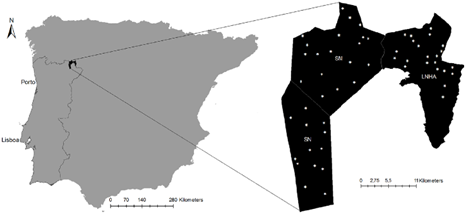 Map of the Iberian Peninsula highlighting where the field work survey was done. Location of the study area in the Iberian Peninsula. On the right there is the distribution of the sampling plots in the three study sites: SN – Serra da Nogueira; SM – Serra de Montesinho; LNHA – Lombada National Hunting Area. doi:10.1371/journal.pone.0088459.g001
